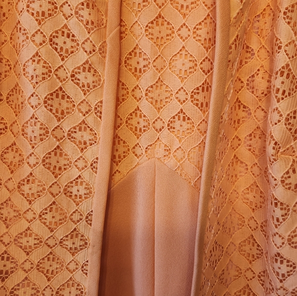 Aliens Fashions Vintage 1970's Coral Lace Upper Hostess Maxi Dress - Picture 3 of 4